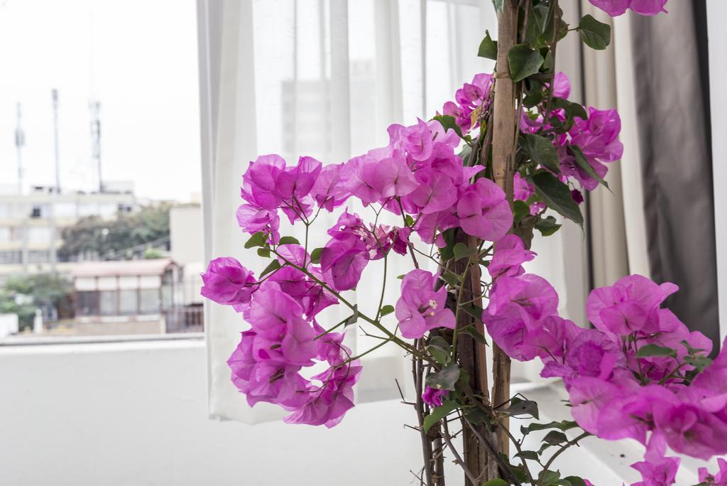 Autor Bed & Breakfast ลิมา ภายนอก รูปภาพ